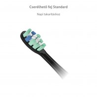 TrueLife SonicBrush Clean-series heads Standard black 2 pack